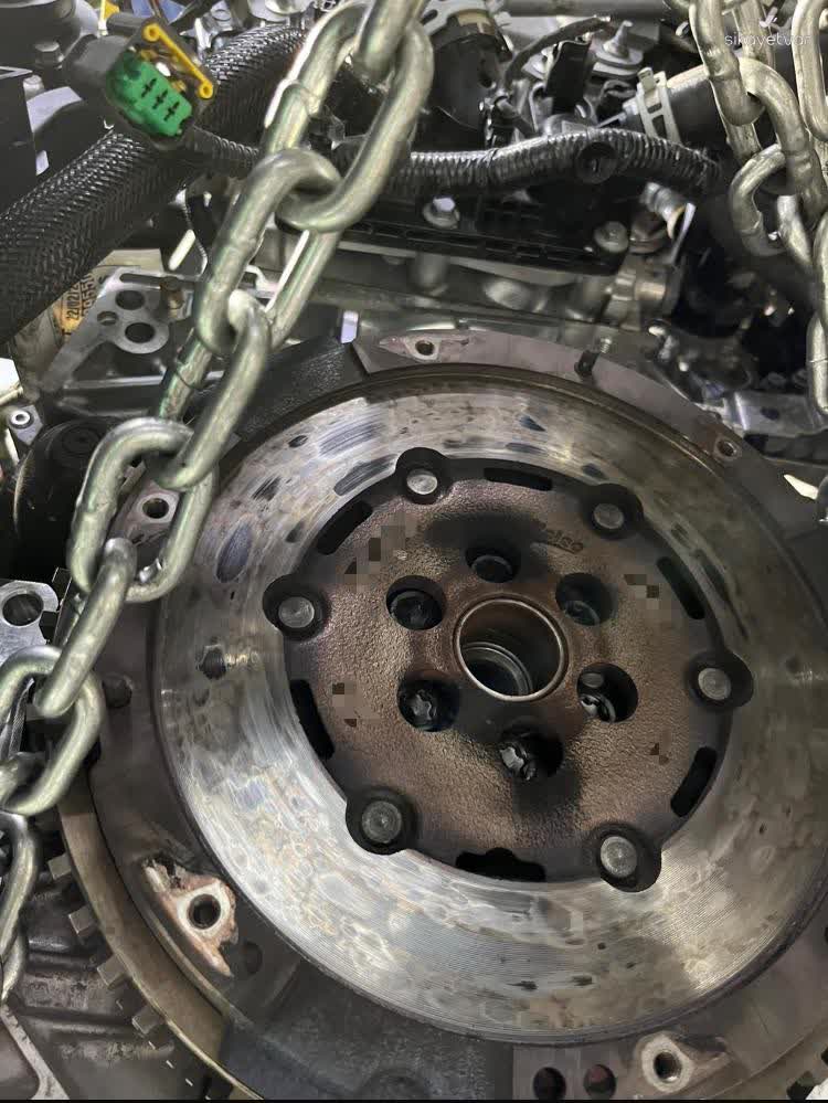 Article content image